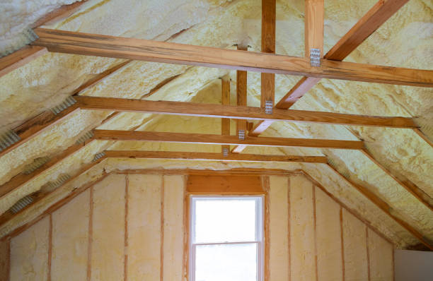 Best Eco-Friendly Insulation in Coraopolis, PA