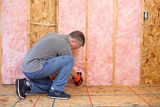 Best Specialized Insulation Services in Coraopolis, PA