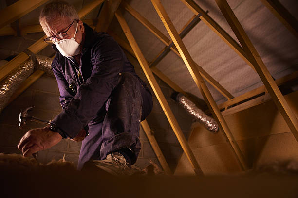 Best Commercial Insulation in Coraopolis, PA